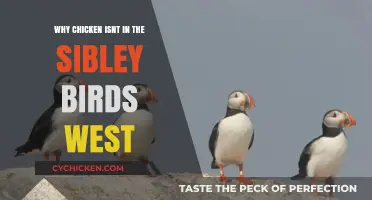 Why Sibley Birds West Excludes Chickens: A Taxonomic Explanation