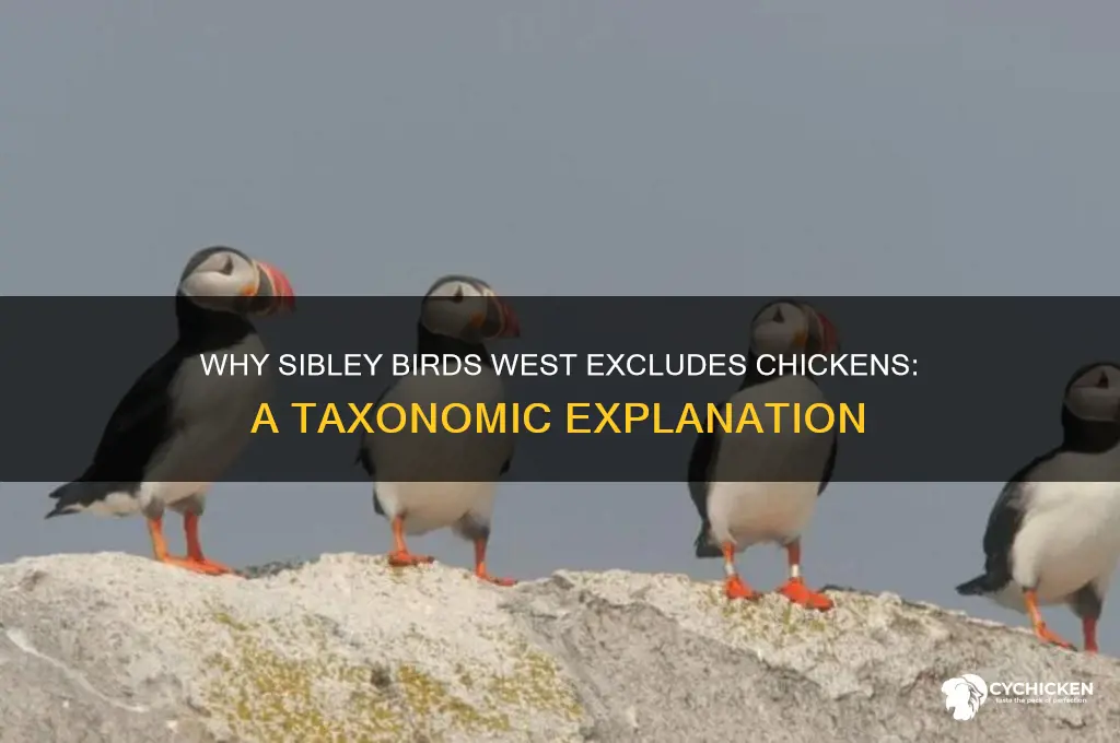 why chicken isnt in the sibley birds west