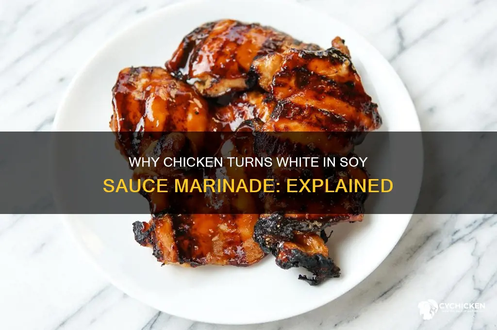 why chicken turns white with soy sauce marinade