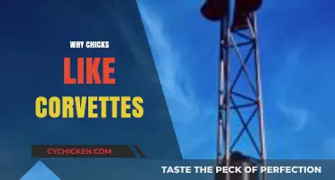 Why Chicks Love Corvettes: Unraveling the Timeless Attraction