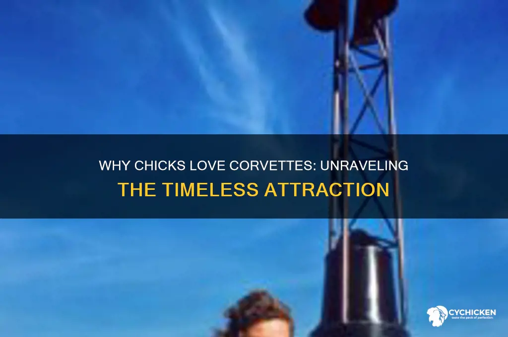 why chicks like corvettes