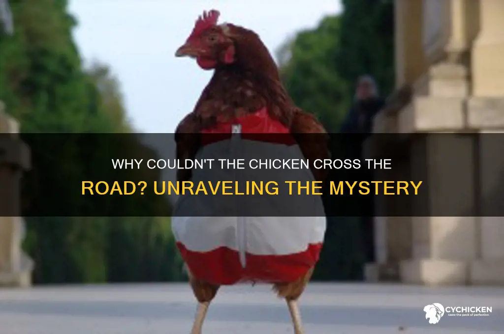 why couldn t the chicken cross the road