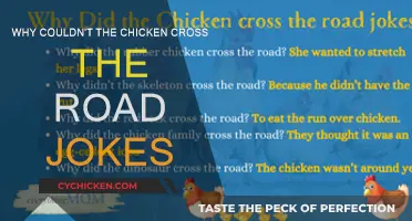 Chicken Jokes: Why Crossing the Road is Tough