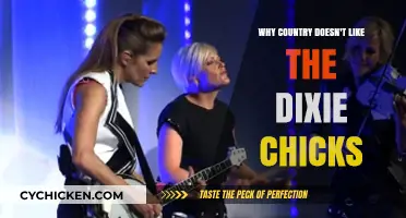 Why America Turned Against the Dixie Chicks: A Cultural Backlash