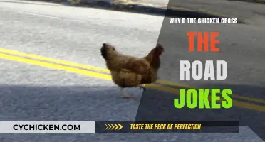 Why Did the Chicken Cross the Road? Unraveling the Timeless Joke