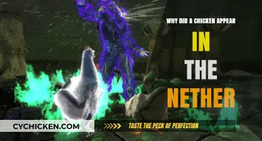 Mysterious Nether Chicken: Unraveling the Unexpected Appearance in Minecraft
