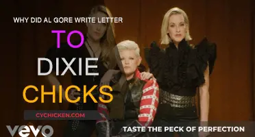 Al Gore's Letter to Dixie Chicks: Why?