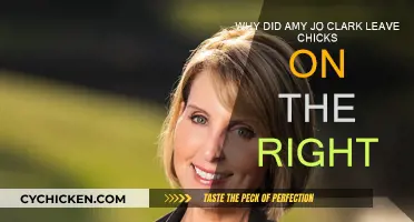 The Mystery Behind Amy Jo Clark's Departure from Chicks on the Right