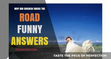 Why Chickens Cross Roads: Hilarious Answers to the Classic Riddle