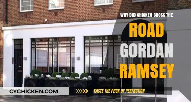 Why Did the Chicken Cross the Road? Gordon Ramsay's Fiery Take