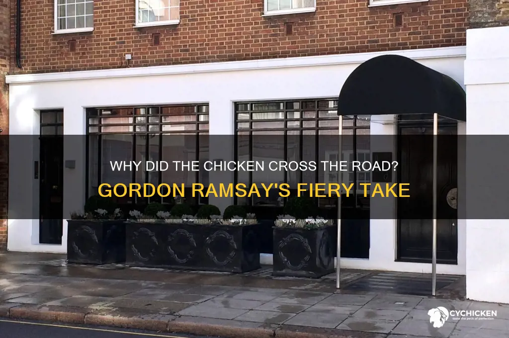 why did chicken cross the road gordan ramsey