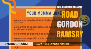 Gordon Ramsay's Fiery Take: Why Did the Chicken Cross the Road?
