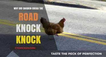 Why Did the Chicken Cross the Road? Knock, Knock, Let’s Explore!