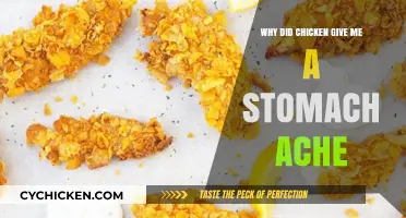 Why Chicken Caused My Stomach Ache: Common Culprits Explained