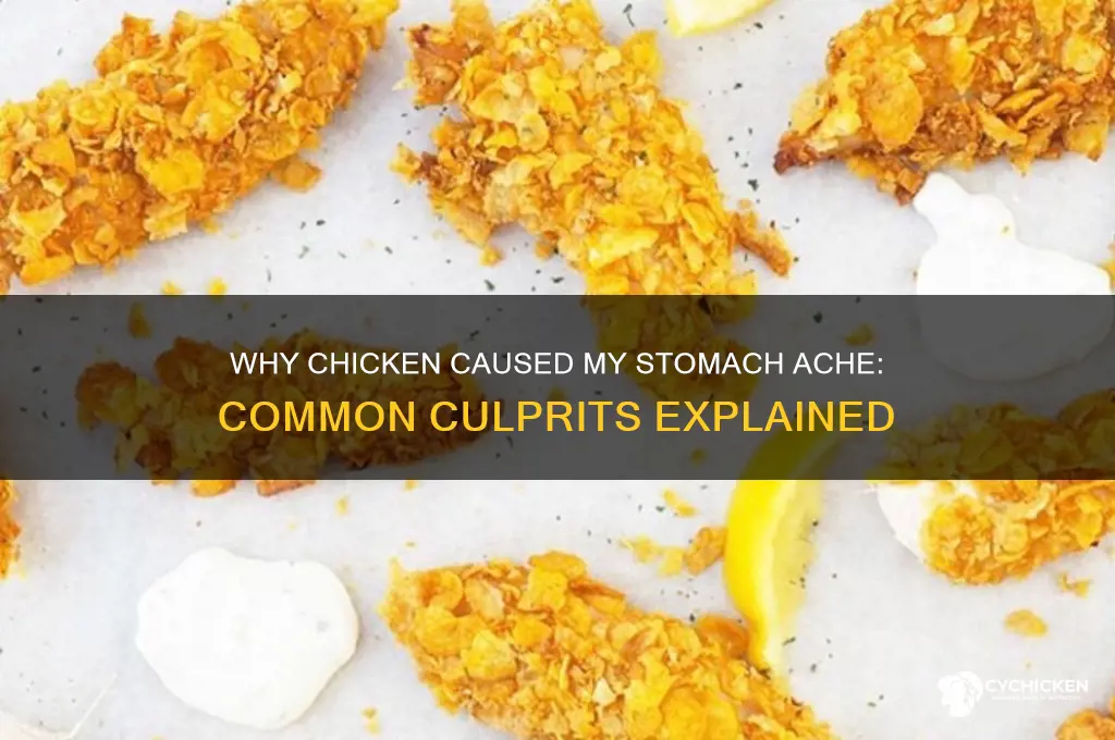 why did chicken give me a stomach ache