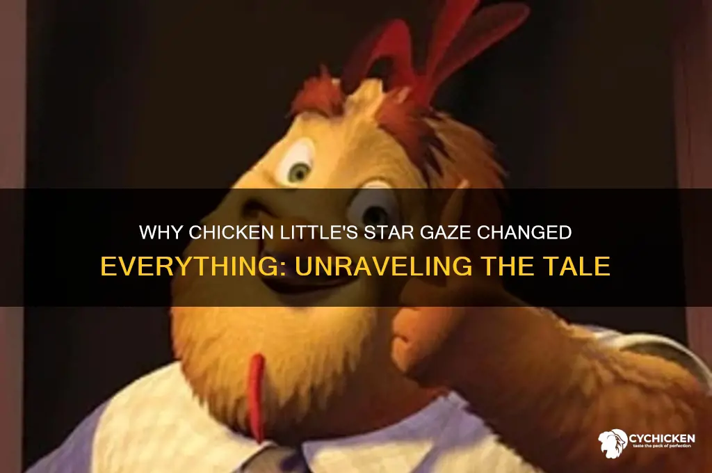 why did chicken little look at the star