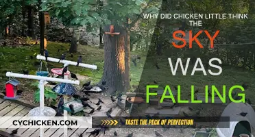 Chicken Little's Misadventure: The Sky is Falling