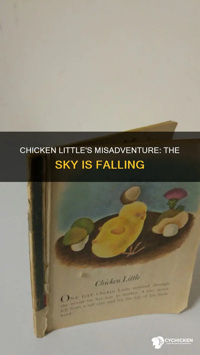 why did chicken little think the sky was falling