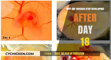 Understanding the Halt: Why Chicken Embryos Stop Developing After Day 18