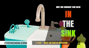 Why Chickens Bathe in Sinks: Unraveling the Quirky Behavior