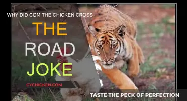 The Chicken Crossed the Road: A Joke's Journey