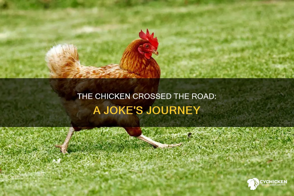 why did com the chicken cross the road joke