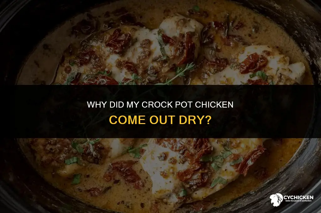 why did crock pot chicken come out dry