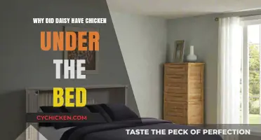 Why Daisy Hid Chicken Under the Bed: Unraveling the Mystery
