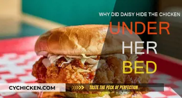 Daisy's Chicken: A Strange Hiding Place