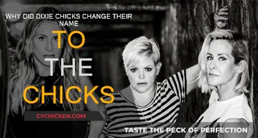 The Chicks' Name Change: A Story of Evolution and Controversy