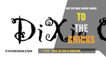 The Chicks' Rebrand: Unraveling the Dixie Name Change Decision