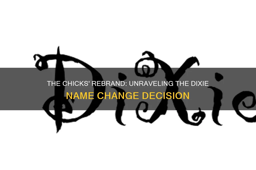 why did dixie chicks change to the chicks