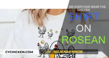 The Chicken Shirt Mystery on Roseanne