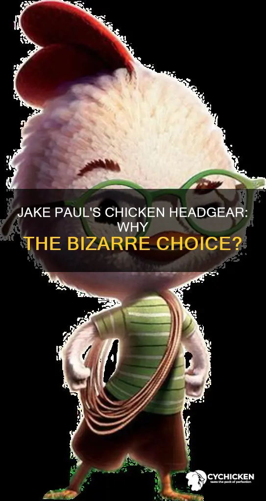 why did jake paul have a chicken on his head