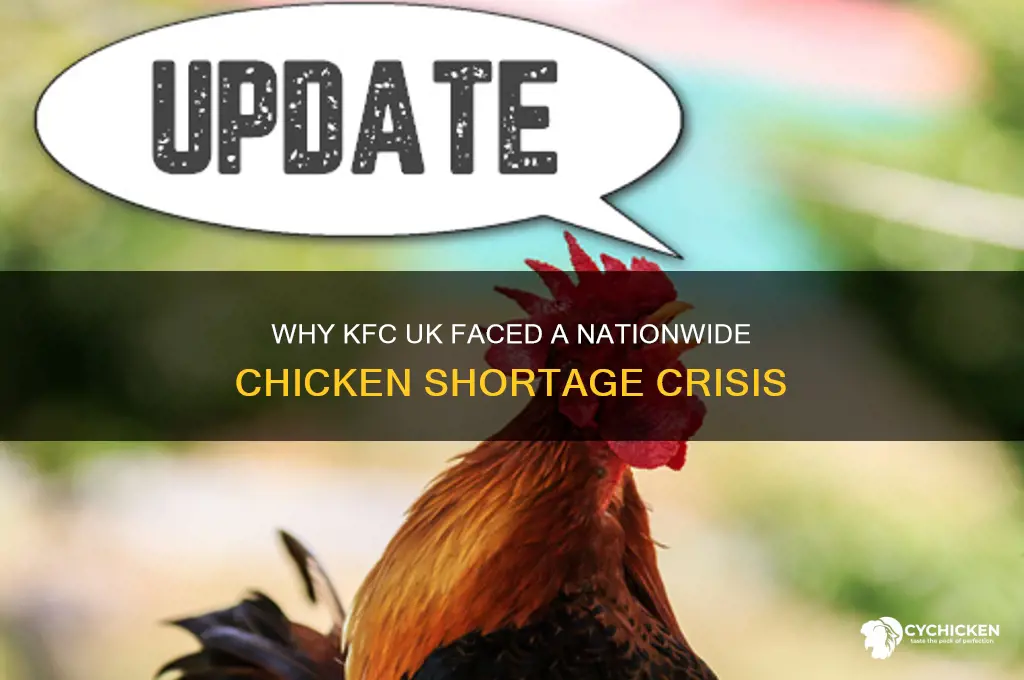why did kfc uk run out of chicken