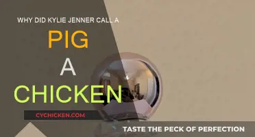Kylie Jenner's Pig-Chicken Fiasco: What's the Deal?
