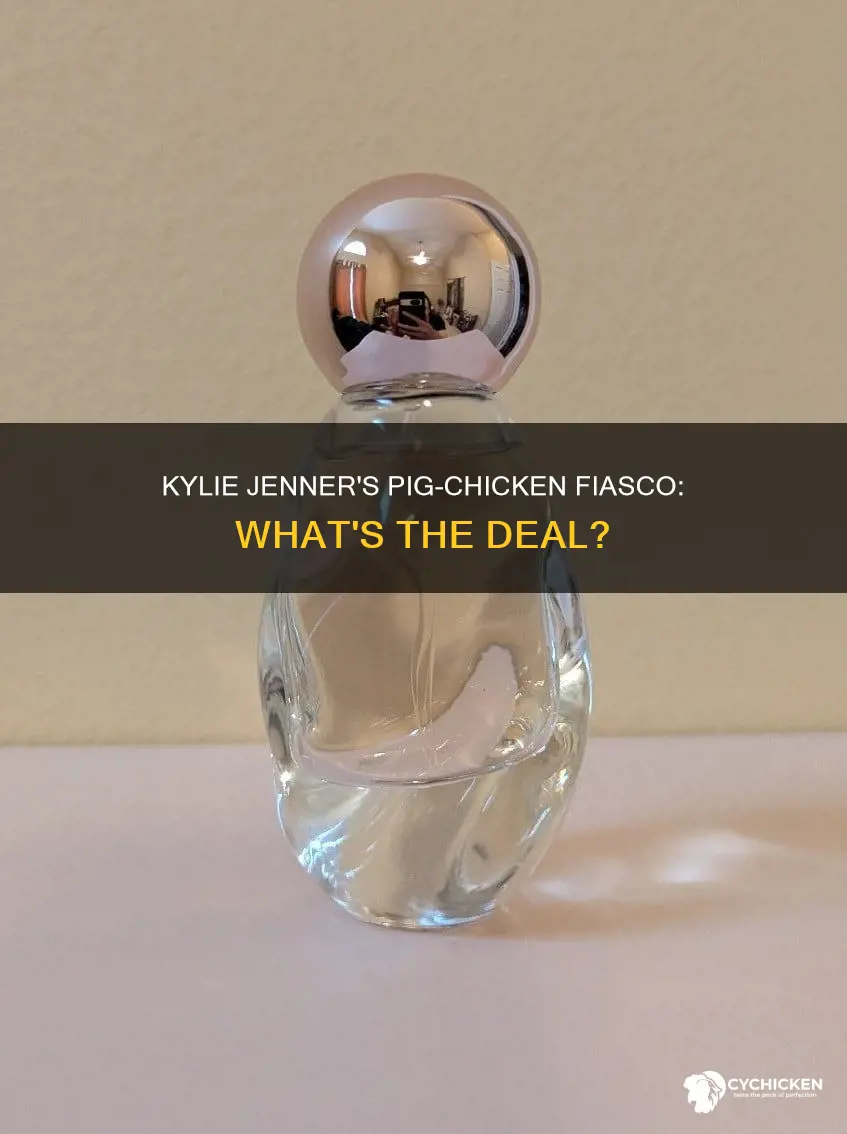 why did kylie jenner call a pig a chicken