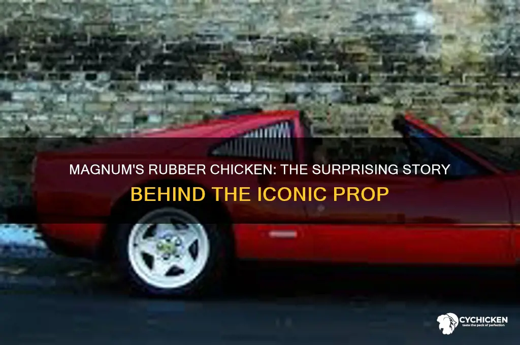 why did magnum always have a rubber chicken