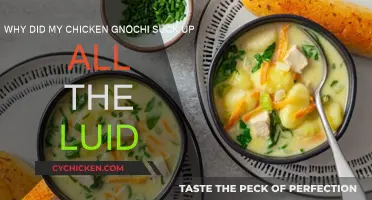 How to Avoid a Dry Chicken Gnocchi