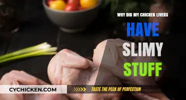 Why Chicken Livers Get Slimy: Causes and Safe Handling Tips
