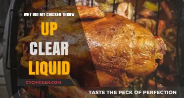 Why Chickens Vomit Clear Liquid: Causes and Concerns Explained