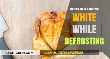 Why Chicken Turns White While Defrosting: Causes and Solutions