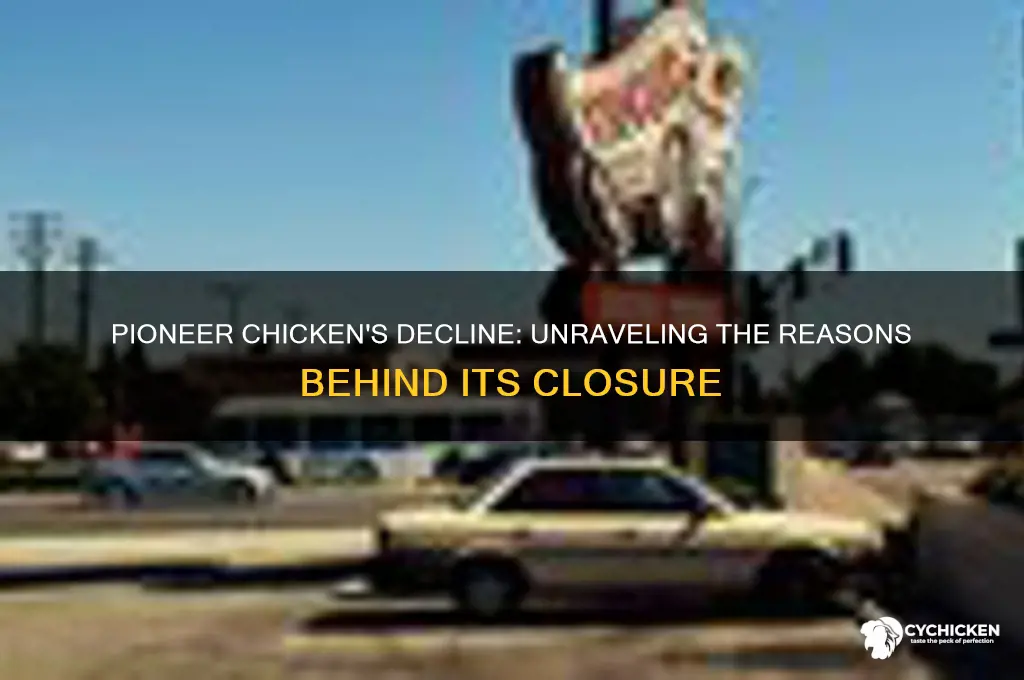 why did pioneer chicken go out of business