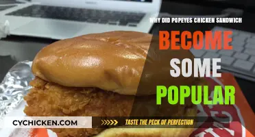 Why Popeyes Chicken Sandwich Sparked a Fast-Food Frenzy