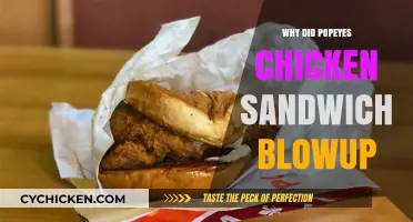 Popeyes Chicken Sandwich Craze: How a Fast-Food War Went Viral