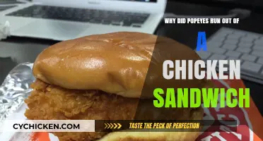 Popeyes Chicken Sandwich Craze: Why the Sudden Shortage?