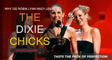 Robin Lynn Macy's Departure from the Dixie Chicks: The Untold Story