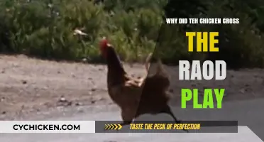 Why Did the Chicken Cross the Road? Unraveling the Play's Humor and Meaning