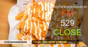 Bush's Chicken FM 529: What Happened?