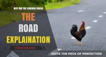 Why Chickens Cross Roads: Unraveling the Classic Riddle's True Meaning